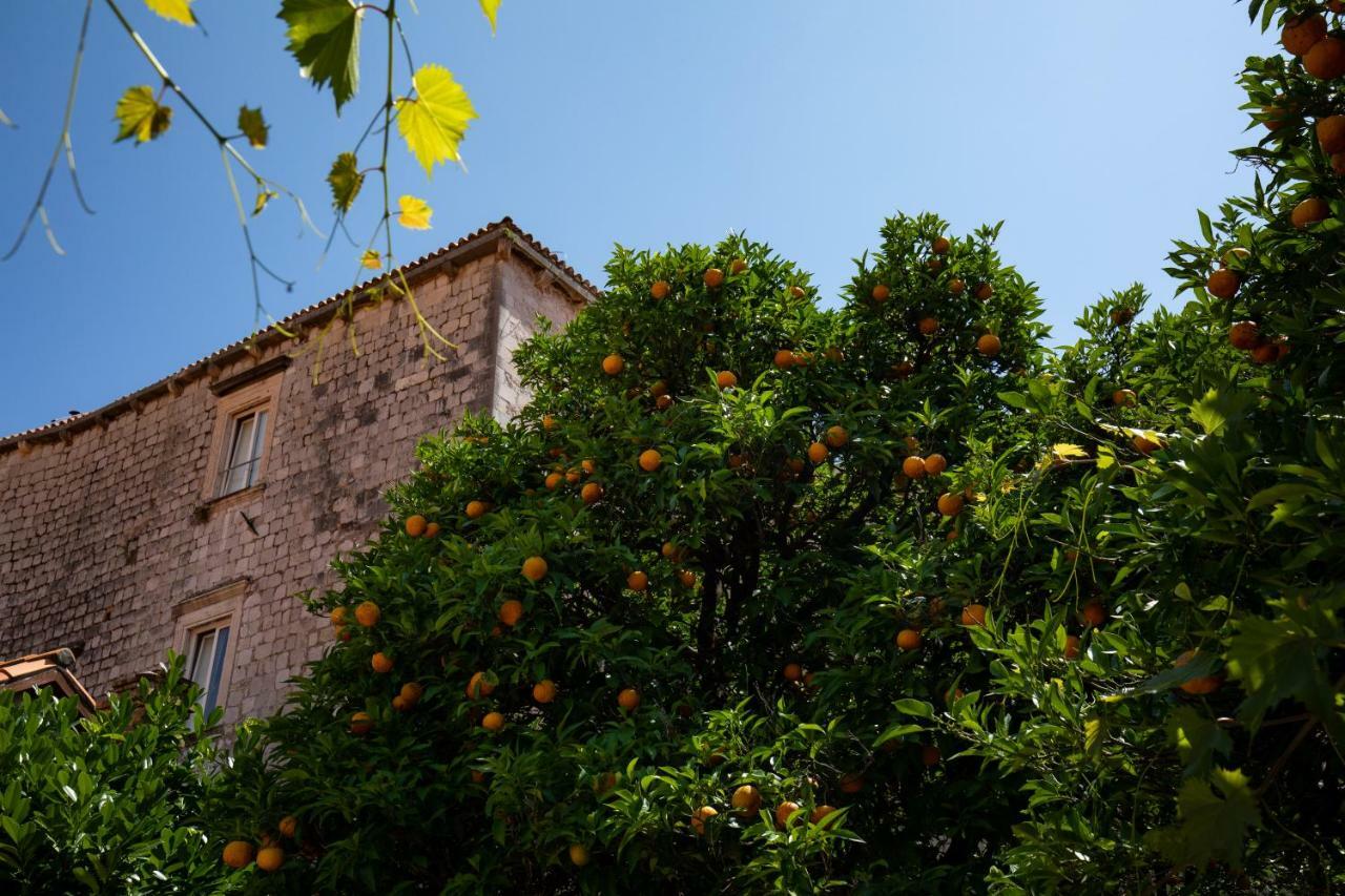 Apartman Jelena Dubrovnik Exterior foto